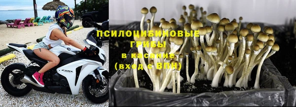 дурь Бронницы