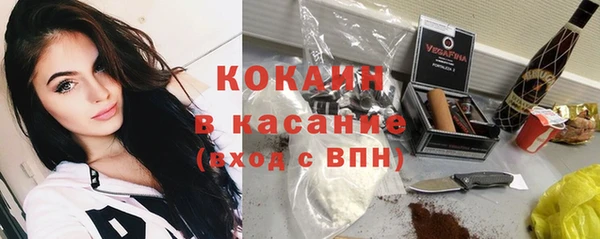 дурь Бронницы