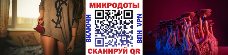 кракен сайт  где можно купить   Вилючинск  Псилоцибиновые грибы GOLDEN TEACHER 